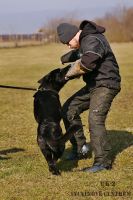 IMG_9079