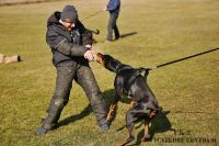 IMG_9107