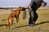 IMG_9140