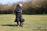 IMG_9696