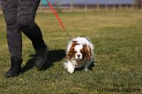 IMG_9707