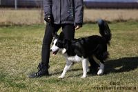 IMG_9720
