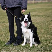 IMG_9724