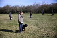 IMG_9740