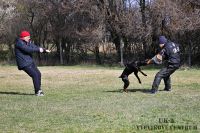 IMG_9753