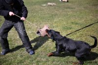 IMG_9764