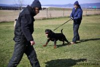 IMG_9795