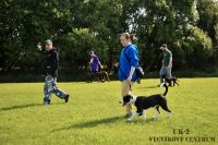 IMG_9559