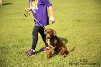 IMG_9591