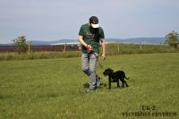 IMG_9595