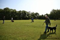 IMG_9620