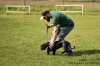 IMG_9662