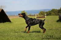 IMG_9677
