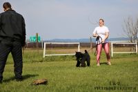 IMG_9682