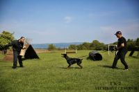 IMG_9700