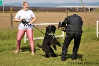 IMG_9761