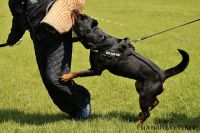 IMG_9790