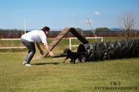 IMG_6773