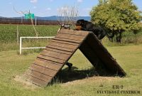 IMG_6887