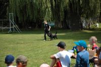 IMG_6910