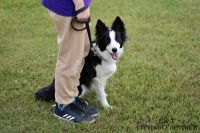 IMG_7196