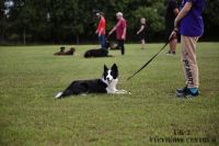 IMG_7216