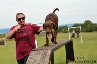 IMG_7275