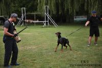 IMG_7374