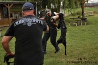 IMG_7388