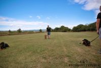 IMG_8301