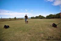 IMG_8302