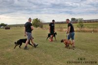 IMG_8320