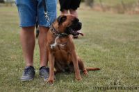 IMG_8331