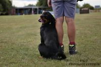 IMG_8332