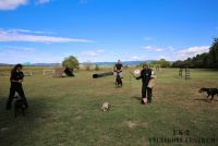 IMG_8366