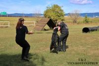 IMG_8374