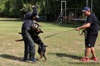 IMG_8376
