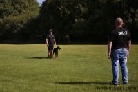IMG_8439
