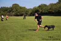 IMG_8445