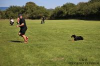 IMG_8446