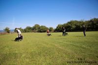 IMG_8454