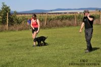 IMG_8464