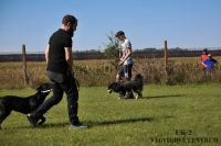 IMG_8474