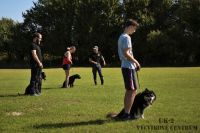 IMG_8492