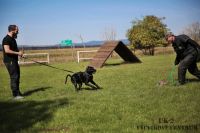 IMG_8607