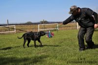 IMG_8627