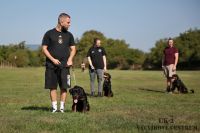 IMG_0164