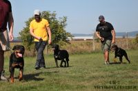 IMG_0174