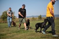 IMG_0178