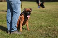 IMG_0181